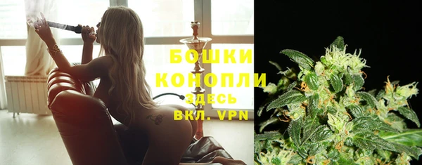 СК Горняк
