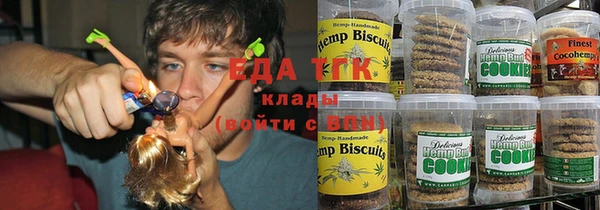 СК Горняк