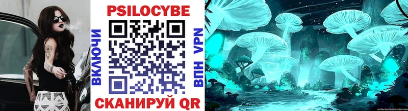 где купить наркоту Майкоп Псилоцибиновые грибы прущие грибы